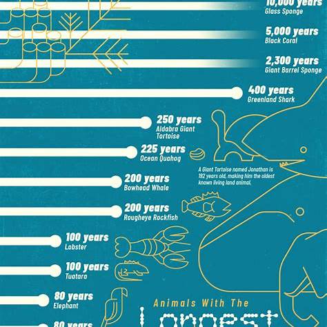 https://www.visualcapitalist.com/wp-content/uploads/2025/03/Animal-Lifespan_Longest_02-web-1-1180x1536.jpg